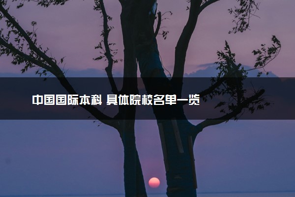 中国国际本科 具体院校名单一览