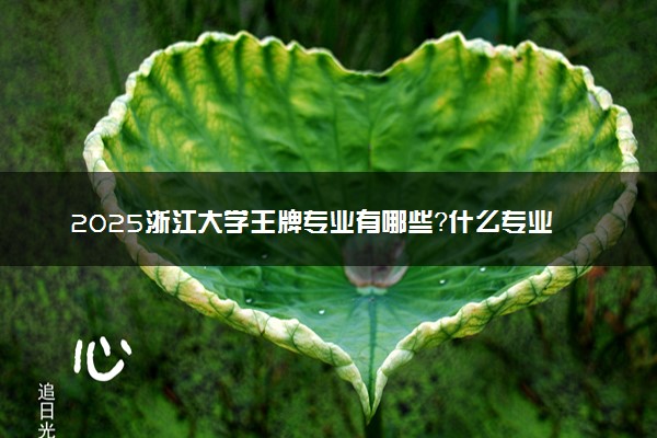 2025浙江大学王牌专业有哪些？什么专业好还就业前景广阔
