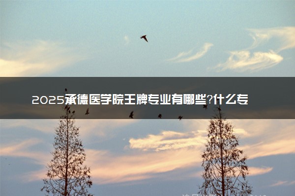 2025承德医学院王牌专业有哪些？什么专业好还就业前景广阔