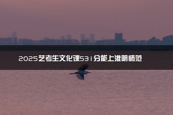 2025艺考生文化课531分能上淮阴师范学院吗