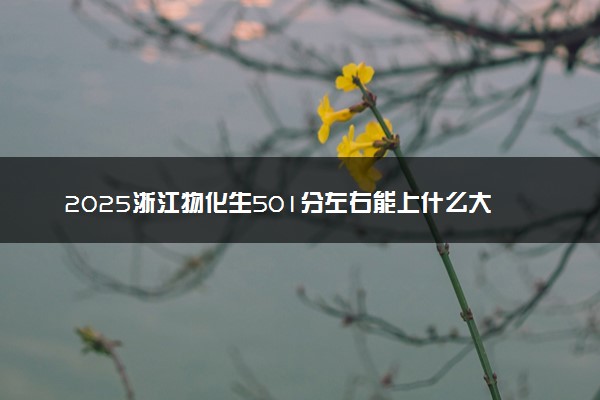 2025浙江物化生501分左右能上什么大学 可以报考的院校名单