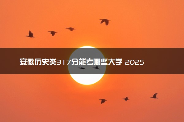 安徽历史类317分能考哪些大学 2025考生稳上的大学名单