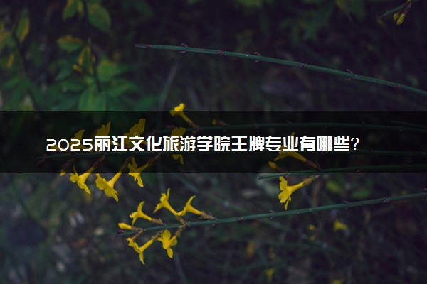 2025丽江文化旅游学院王牌专业有哪些？什么专业好还就业前景广阔