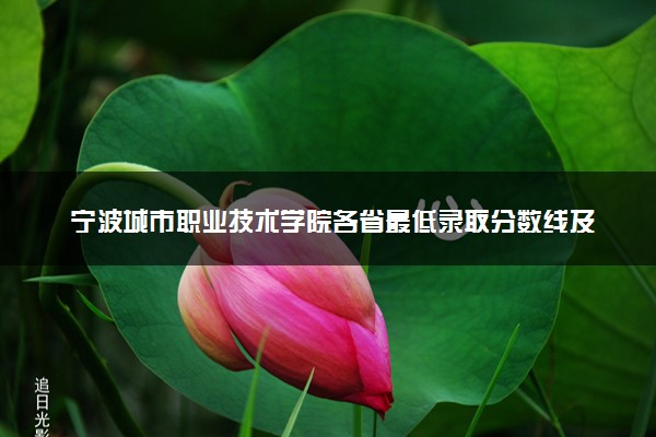 宁波城市职业技术学院各省最低录取分数线及位次排名 2025考多少分能上宁波城市职业技术学院