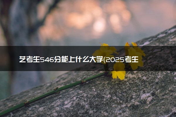 艺考生546分能上什么大学（2025考生参考）