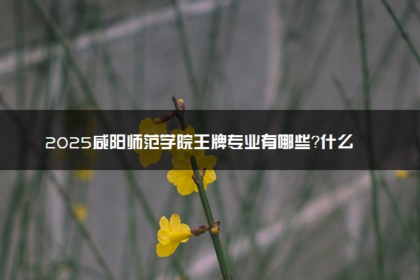2025咸阳师范学院王牌专业有哪些？什么专业好还就业前景广阔
