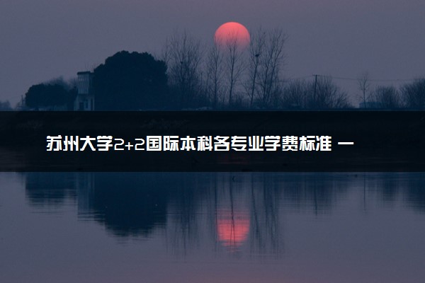 苏州大学2+2国际本科各专业学费标准 一年多少钱