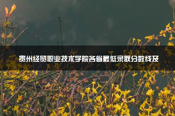 贵州经贸职业技术学院各省最低录取分数线及位次排名 2025考多少分能上贵州经贸职业技术学院