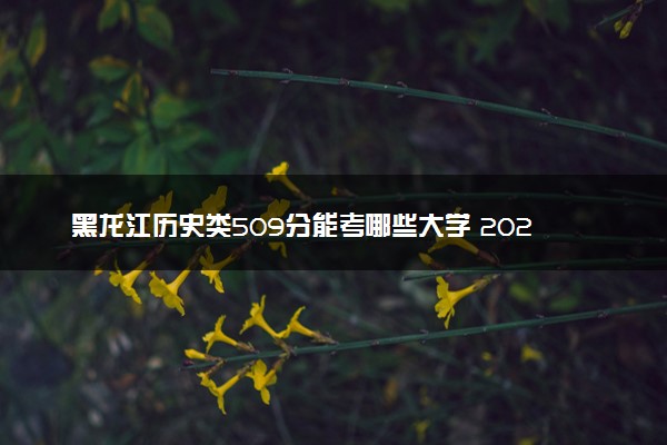 黑龙江历史类509分能考哪些大学 2025考生稳上的大学名单