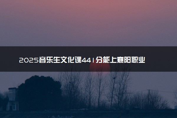 2025音乐生文化课441分能上襄阳职业技术学院吗