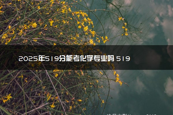 2025年519分能考化学专业吗 519分化学专业大学推荐