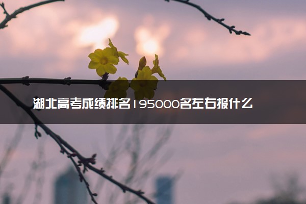 湖北高考成绩排名195000名左右报什么大学好（2025年参考）