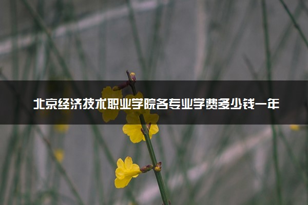 北京经济技术职业学院各专业学费多少钱一年 收费标准是什么