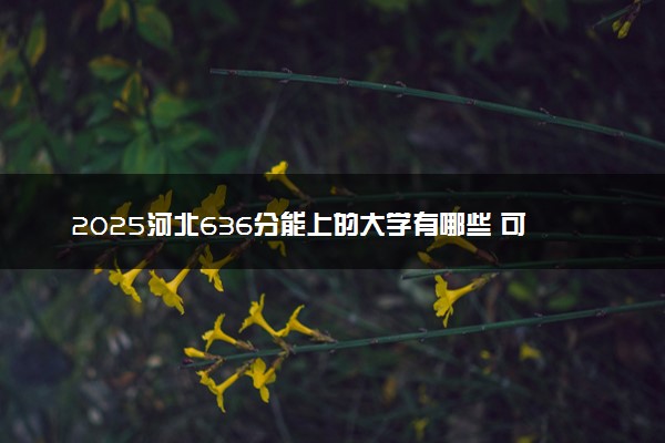 2025河北636分能上的大学有哪些 可以报考院校名单