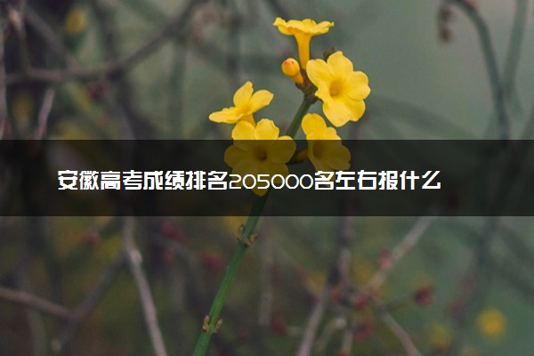 安徽高考成绩排名205000名左右报什么大学好（2025年参考）
