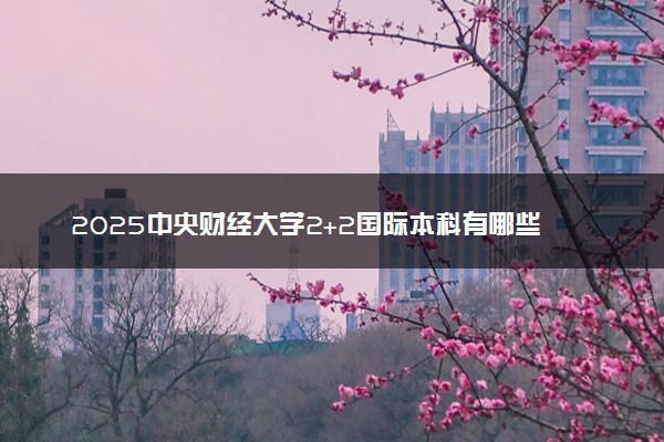 2025中央财经大学2+2国际本科有哪些专业 学费多少钱
