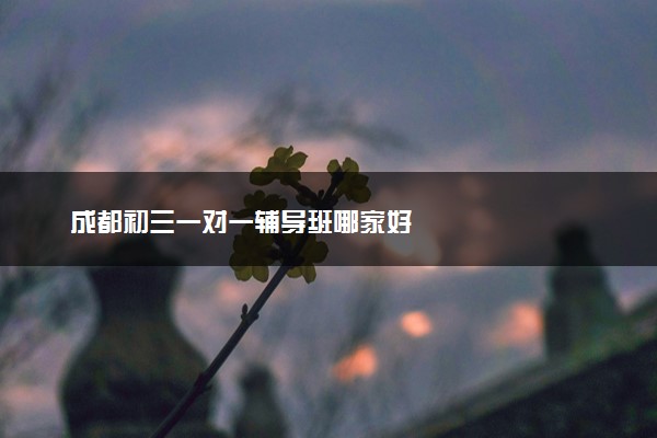 成都初三一对一辅导班哪家好