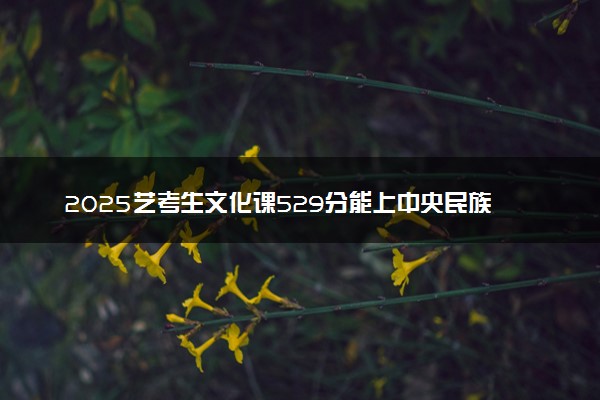2025艺考生文化课529分能上中央民族大学吗