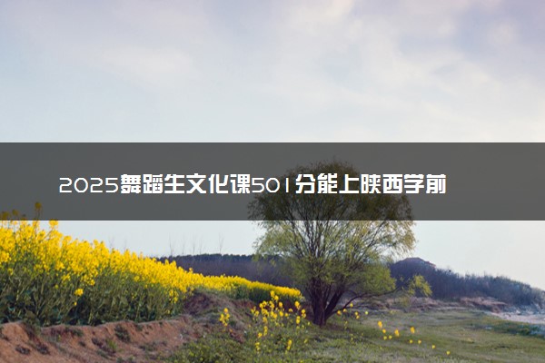 2025舞蹈生文化课501分能上陕西学前师范学院吗