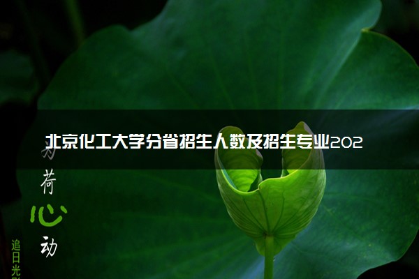 北京化工大学分省招生人数及招生专业2025年招生计划参考