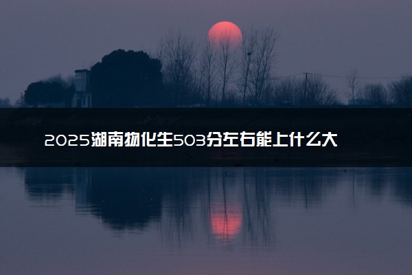 2025湖南物化生503分左右能上什么大学 可以报考的院校名单
