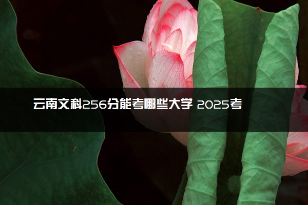 云南文科256分能考哪些大学 2025考生稳上的大学名单