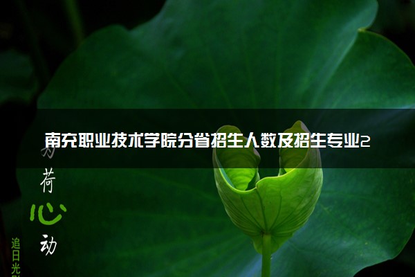 南充职业技术学院分省招生人数及招生专业2025年招生计划参考