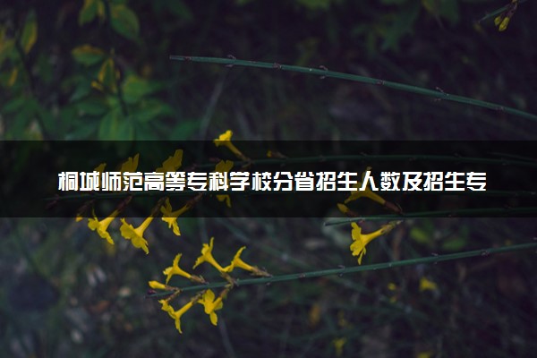桐城师范高等专科学校分省招生人数及招生专业2025年招生计划参考