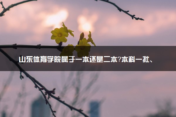 山东体育学院属于一本还是二本？本科一批、二批的区别及报考建议