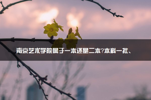 南京艺术学院属于一本还是二本？本科一批、二批的区别及报考建议