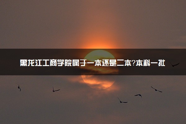 黑龙江工商学院属于一本还是二本？本科一批、二批的区别及报考建议