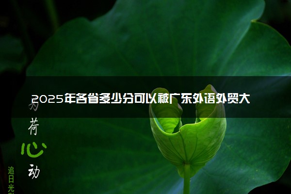 2025年各省多少分可以被广东外语外贸大学录取？历年录取分数线