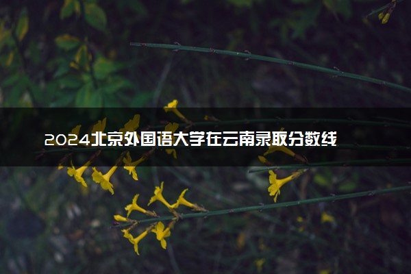 2024北京外国语大学在云南录取分数线 各专业分数及位次