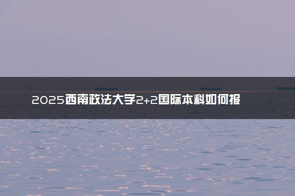 2025西南政法大学2+2国际本科如何报名 报考条件是什么