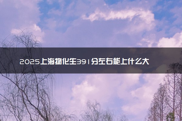 2025上海物化生391分左右能上什么大学 可以报考的院校名单