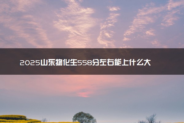 2025山东物化生558分左右能上什么大学 可以报考的院校名单