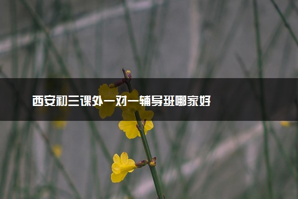西安初三课外一对一辅导班哪家好