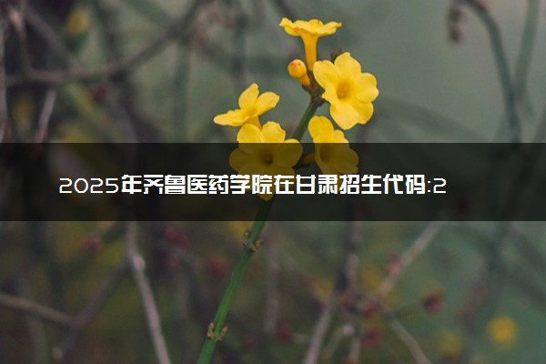 2025年齐鲁医药学院在甘肃招生代码：2416 专业代码及报考指南