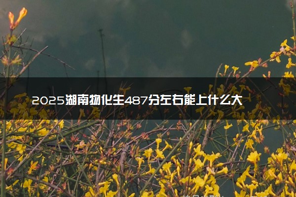 2025湖南物化生487分左右能上什么大学 可以报考的院校名单