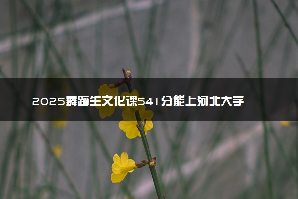 2025舞蹈生文化课541分能上河北大学吗