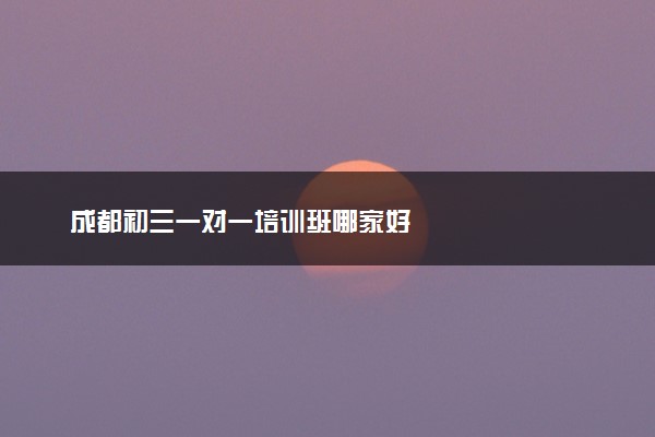 成都初三一对一培训班哪家好