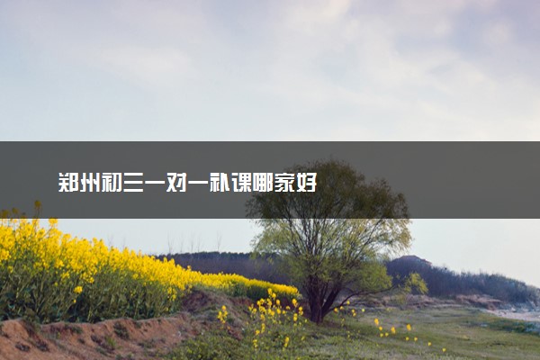 郑州初三一对一补课哪家好