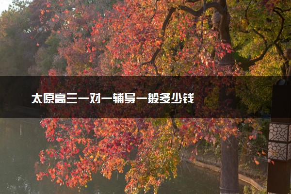 太原高三一对一辅导一般多少钱
