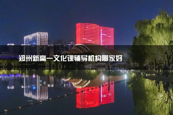 郑州新高一文化课辅导机构哪家好