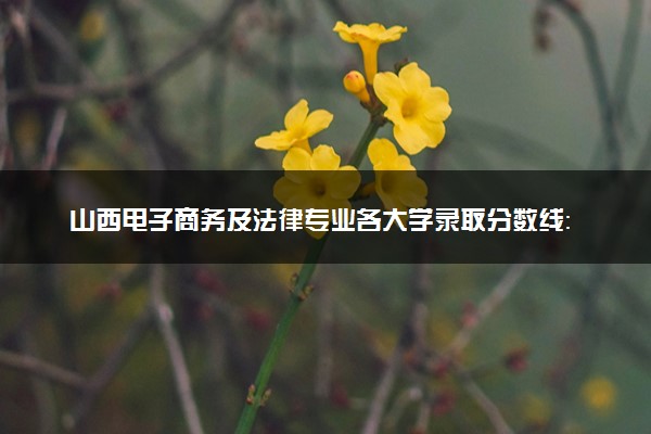 山西电子商务及法律专业各大学录取分数线：最低388分能上 开设院校及位次