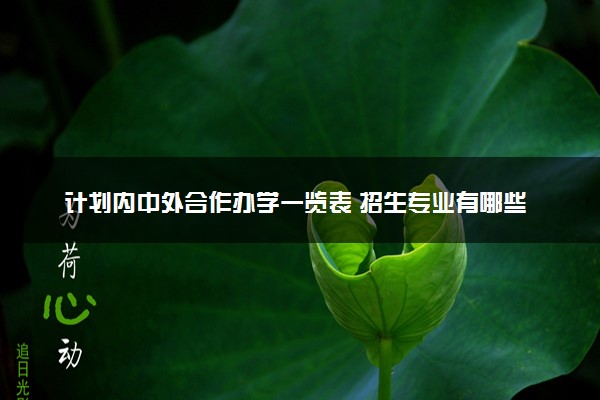 计划内中外合作办学一览表 招生专业有哪些