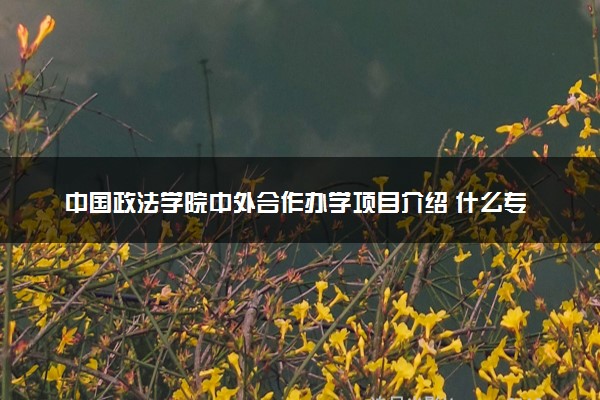 中国政法学院中外合作办学项目介绍 什么专业好