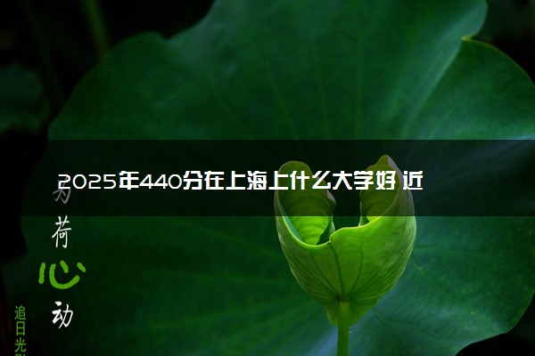 2025年440分在上海上什么大学好 近三年录取分数线是多少