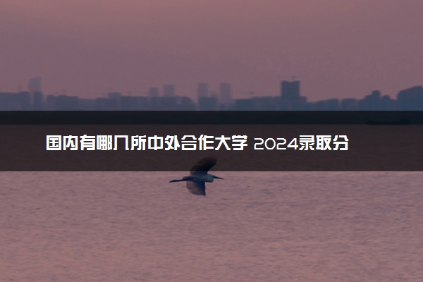 国内有哪几所中外合作大学 2024录取分数线多少