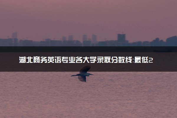 湖北商务英语专业各大学录取分数线：最低245分能上 开设院校及位次